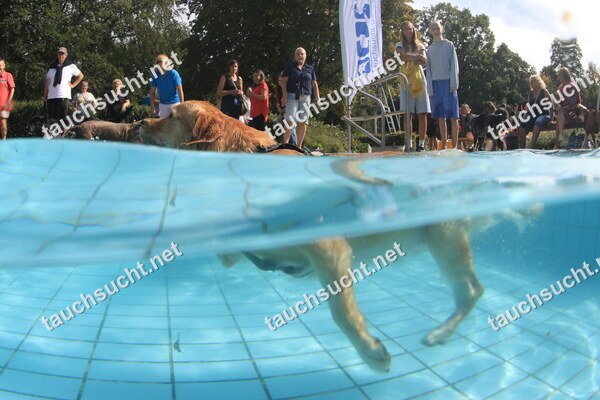 Hundeschwimmen Gauting 2026 - Foto vom 20.09.2026 um 15:56:04 Uhr