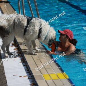 Hundeschwimmen Gauting 2026 - Foto vom 20.09.2026 um 16:08:38 Uhr