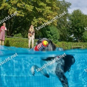 Hundeschwimmen Gauting 2026 - Foto vom 20.09.2026 um 16:14:32 Uhr