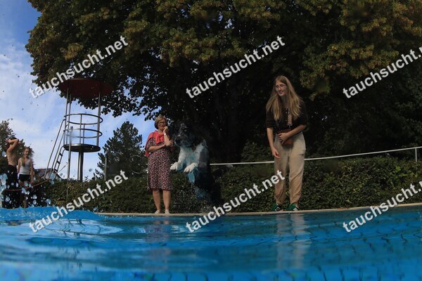 Hundeschwimmen Gauting 2026 - Foto vom 20.09.2026 um 16:23:41 Uhr