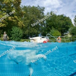 Hundeschwimmen Gauting 2026 - Foto vom 20.09.2026 um 16:32:22 Uhr