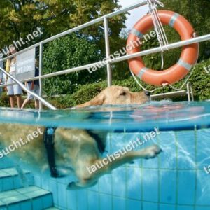 Hundeschwimmen Gauting 2026 - Foto vom 20.09.2026 um 16:37:02 Uhr