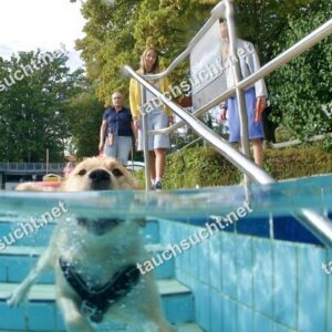 Hundeschwimmen Gauting 2026 - Foto vom 20.09.2026 um 16:37:24 Uhr