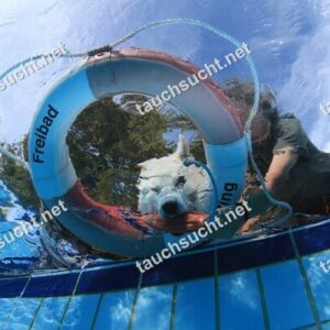 Hundeschwimmen Gauting 2026 - Foto vom 20.09.2026 um 16:39:02 Uhr