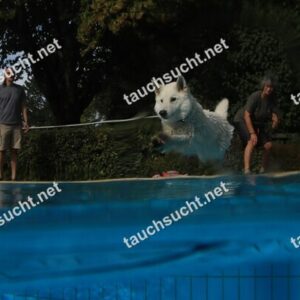 Hundeschwimmen Gauting 2026 - Foto vom 20.09.2026 um 16:41:23 Uhr