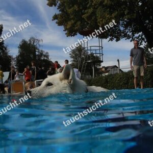 Hundeschwimmen Gauting 2026 - Foto vom 20.09.2026 um 16:41:24 Uhr