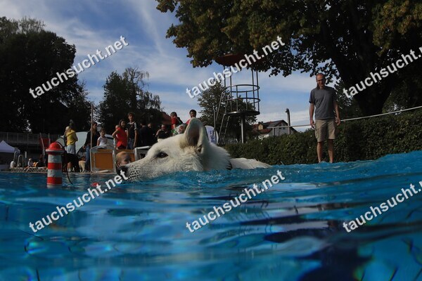 Hundeschwimmen Gauting 2026 - Foto vom 20.09.2026 um 16:41:24 Uhr