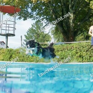 Hundeschwimmen Gauting 2026 - Foto vom 20.09.2026 um 16:53:21 Uhr