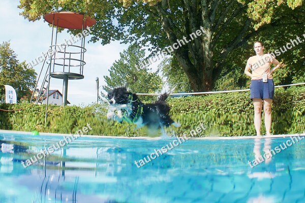 Hundeschwimmen Gauting 2026 - Foto vom 20.09.2026 um 16:53:21 Uhr