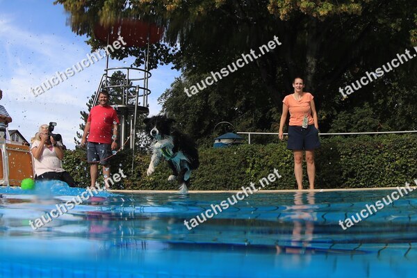Hundeschwimmen Gauting 2026 - Foto vom 20.09.2026 um 16:58:23 Uhr