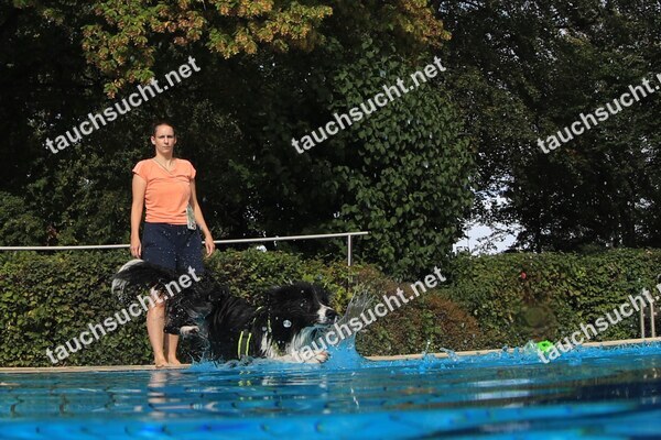 Hundeschwimmen Gauting 2026 - Foto vom 20.09.2026 um 16:59:19 Uhr