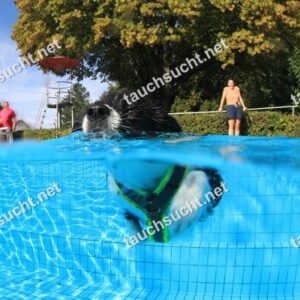 Hundeschwimmen Gauting 2026 - Foto vom 20.09.2026 um 17:01:14 Uhr