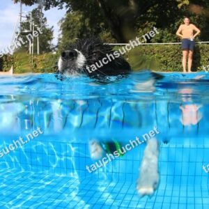 Hundeschwimmen Gauting 2026 - Foto vom 20.09.2026 um 17:02:08 Uhr