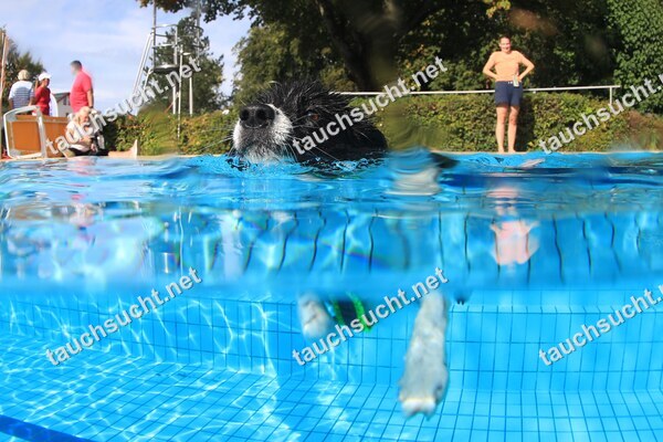 Hundeschwimmen Gauting 2026 - Foto vom 20.09.2026 um 17:02:08 Uhr