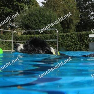 Hundeschwimmen Gauting 2026 - Foto vom 20.09.2026 um 17:04:44 Uhr
