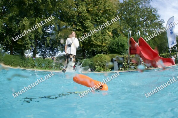 Hundeschwimmen Gauting 2026 - Foto vom 20.09.2026 um 17:18:32 Uhr