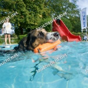 Hundeschwimmen Gauting 2026 - Foto vom 20.09.2026 um 17:18:35 Uhr