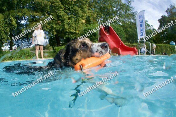 Hundeschwimmen Gauting 2026 - Foto vom 20.09.2026 um 17:18:35 Uhr