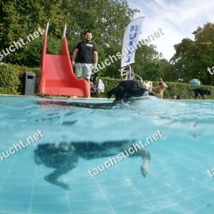 Hundeschwimmen Gauting 2026 - Foto vom 20.09.2026 um 17:18:47 Uhr