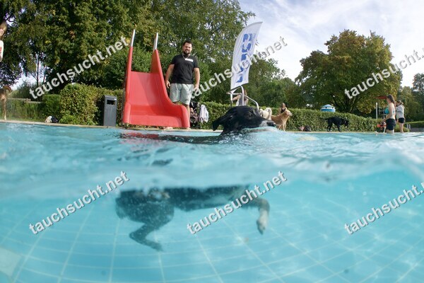 Hundeschwimmen Gauting 2026 - Foto vom 20.09.2026 um 17:18:47 Uhr