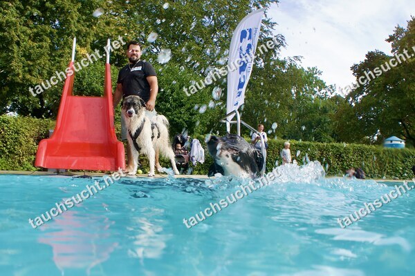 Hundeschwimmen Gauting 2026 - Foto vom 20.09.2026 um 17:19:27 Uhr