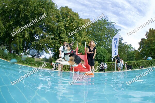 Hundeschwimmen Gauting 2026 - Foto vom 20.09.2026 um 17:19:59 Uhr