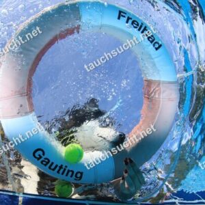 Hundeschwimmen Gauting 2026 - Foto vom 20.09.2026 um 17:20:17 Uhr