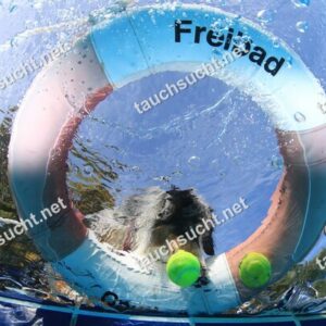 Hundeschwimmen Gauting 2026 - Foto vom 20.09.2026 um 17:21:07 Uhr