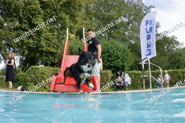 Hundeschwimmen Gauting 2026 - Foto vom 20.09.2026 um 17:21:14 Uhr