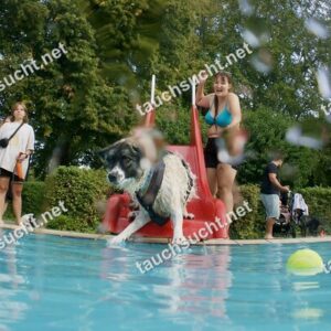 Hundeschwimmen Gauting 2026 - Foto vom 20.09.2026 um 17:21:36 Uhr