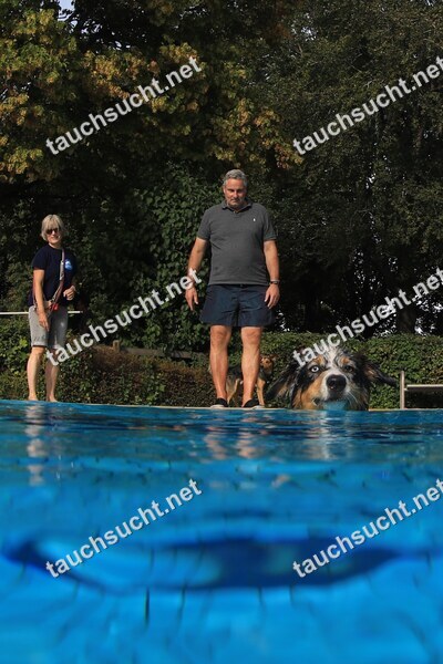 Hundeschwimmen Gauting 2026 - Foto vom 20.09.2026 um 17:23:12 Uhr