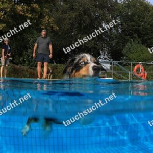 Hundeschwimmen Gauting 2026 - Foto vom 20.09.2026 um 17:23:13 Uhr