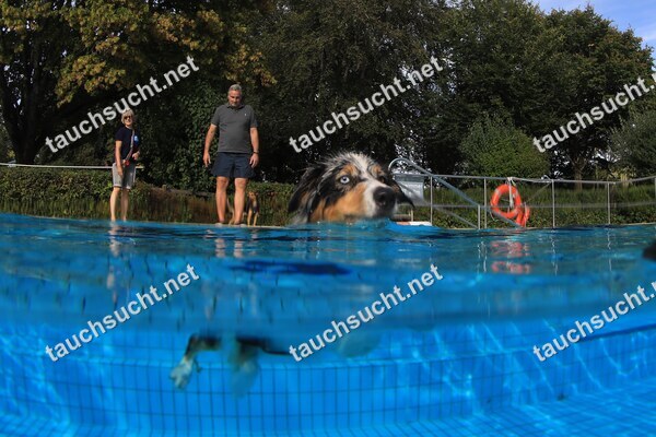 Hundeschwimmen Gauting 2026 - Foto vom 20.09.2026 um 17:23:13 Uhr