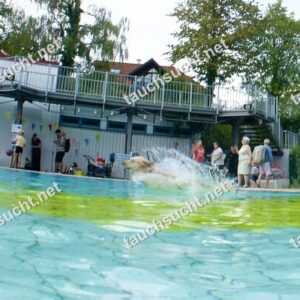 Hundeschwimmen Gauting 2026 - Foto vom 20.09.2026 um 17:24:57 Uhr