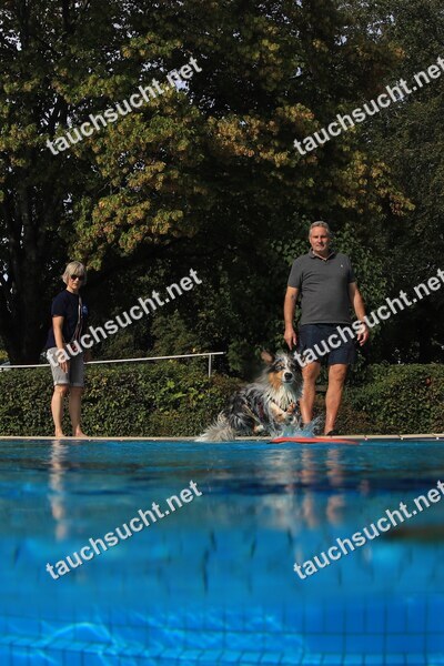 Hundeschwimmen Gauting 2026 - Foto vom 20.09.2026 um 17:25:17 Uhr