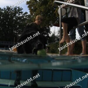 Hundeschwimmen Gauting 2026 - Foto vom 20.09.2026 um 17:28:21 Uhr