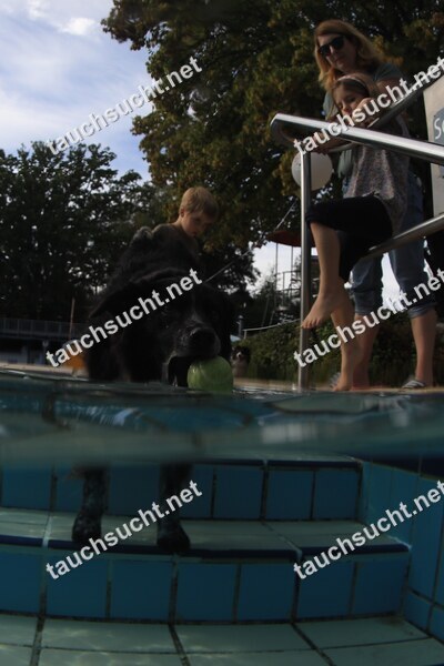 Hundeschwimmen Gauting 2026 - Foto vom 20.09.2026 um 17:28:21 Uhr