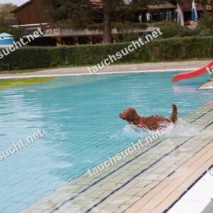 Hundeschwimmen Gauting 2026 - Foto vom 20.09.2026 um 17:28:30 Uhr
