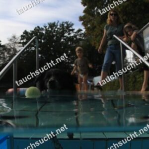 Hundeschwimmen Gauting 2026 - Foto vom 20.09.2026 um 17:28:39 Uhr