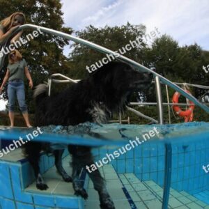 Hundeschwimmen Gauting 2026 - Foto vom 20.09.2026 um 17:30:30 Uhr