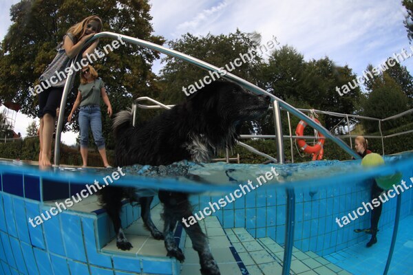 Hundeschwimmen Gauting 2026 - Foto vom 20.09.2026 um 17:30:30 Uhr