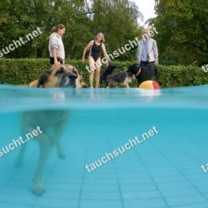 Hundeschwimmen Gauting 2026 - Foto vom 20.09.2026 um 17:30:31 Uhr
