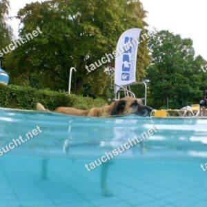 Hundeschwimmen Gauting 2026 - Foto vom 20.09.2026 um 17:30:59 Uhr