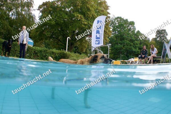 Hundeschwimmen Gauting 2026 - Foto vom 20.09.2026 um 17:30:59 Uhr
