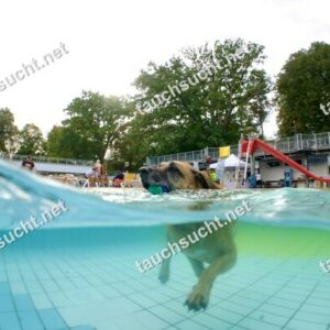 Hundeschwimmen Gauting 2026 - Foto vom 20.09.2026 um 17:31:07 Uhr