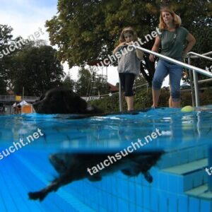 Hundeschwimmen Gauting 2026 - Foto vom 20.09.2026 um 17:32:01 Uhr