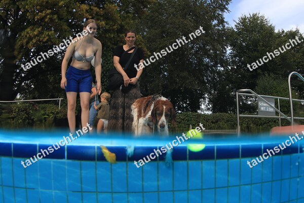 Hundeschwimmen Gauting 2026 - Foto vom 20.09.2026 um 17:38:29 Uhr