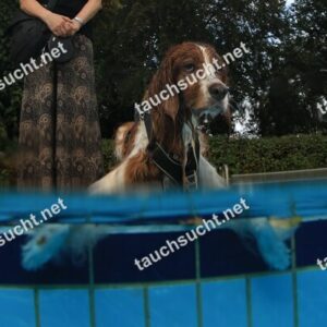 Hundeschwimmen Gauting 2026 - Foto vom 20.09.2026 um 17:38:43 Uhr