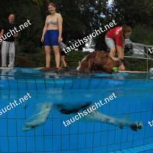 Hundeschwimmen Gauting 2026 - Foto vom 20.09.2026 um 17:39:34 Uhr
