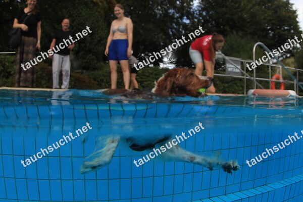 Hundeschwimmen Gauting 2026 - Foto vom 20.09.2026 um 17:39:34 Uhr
